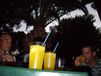 Zuf�lliges Bild